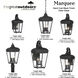 Marquee Outdoor Wall Mount in Sand Coal, Great Outdoors